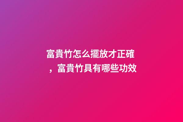 富貴竹怎么擺放才正確，富貴竹具有哪些功效